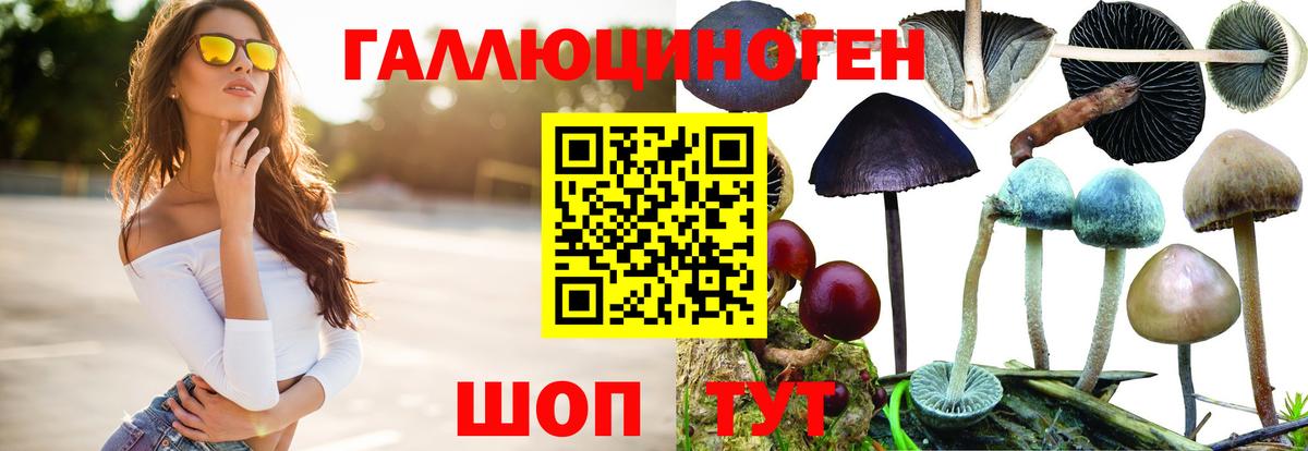Псилоцибиновые грибы Psilocybine cubensis  Псилоцибиновые грибы мухоморы  Вход с VPN  Бердск 
